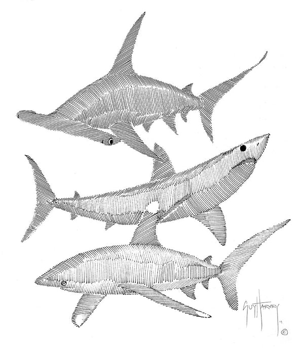 guy harvey Triple Sharks Scribble