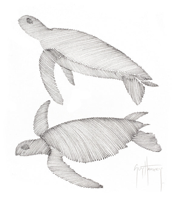 guy harvey Two Turtles: Green & Hawksbill Scribble