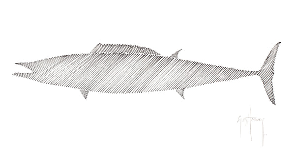 guy harvey Wahoo Scribble