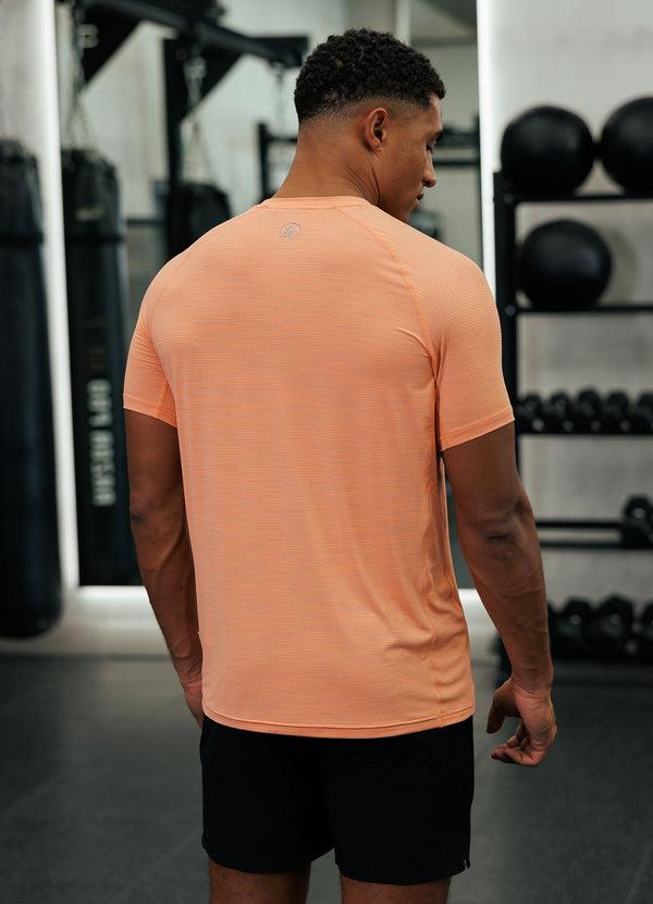 gym king Energy Grindle Tee Sunset Coral