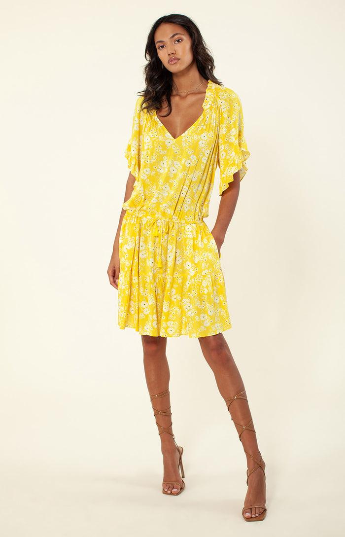 hale bob Marae Dress