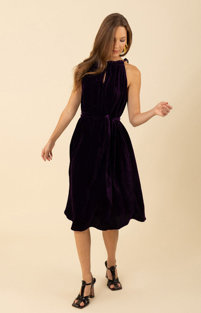 Hale Bob Meadow Halter Velvet Dress