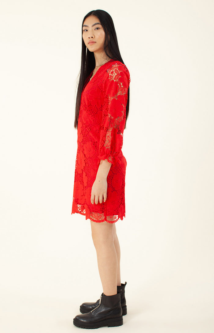 Hale Bob Mellea Lace Dress