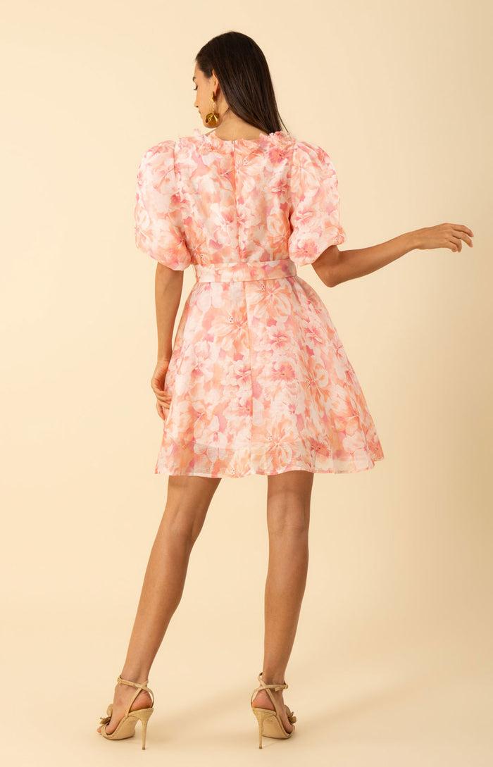 Hale Bob Promise Floral Trim Organza Dress
