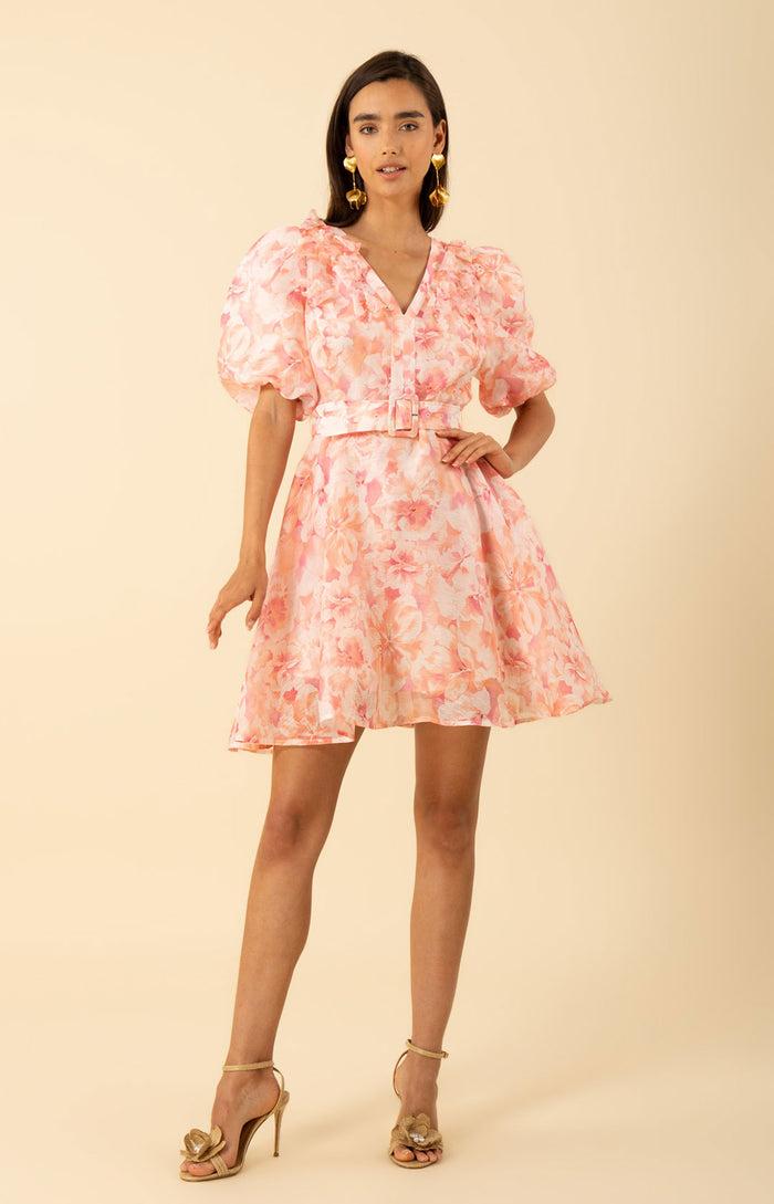 hale bob Promise Floral Trim Organza Dress