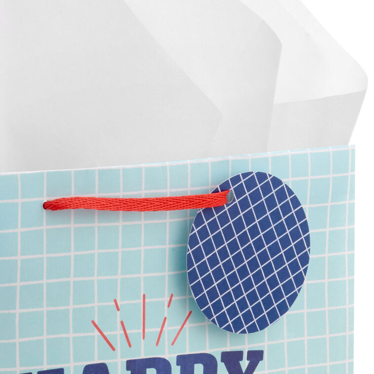 Hallmark 13" Happy Dad Day Large Father's Day Gift Bag With Tissue Paper