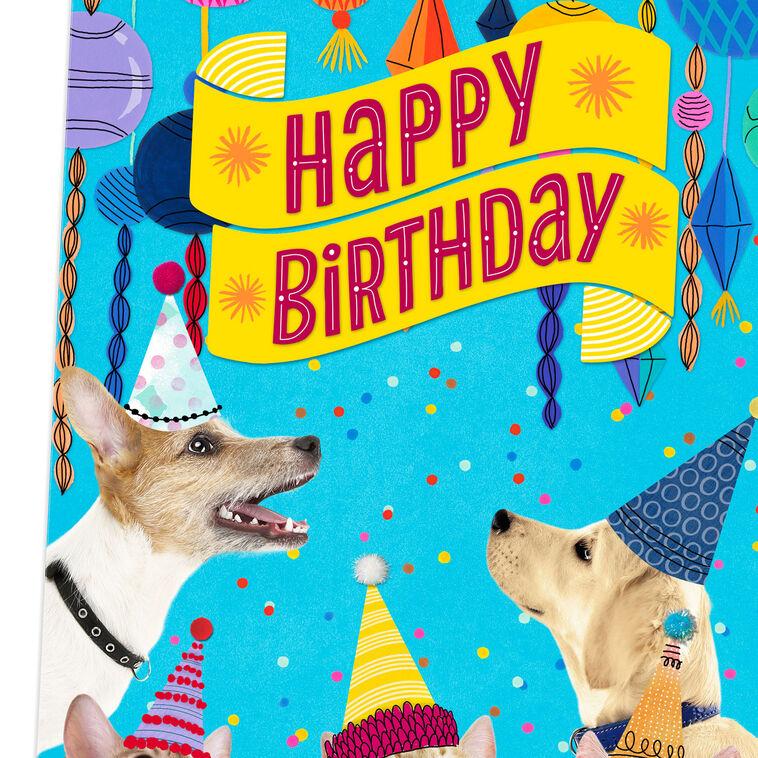 Hallmark 16" Party Cats And Dogs Jumbo Birthday Card From All