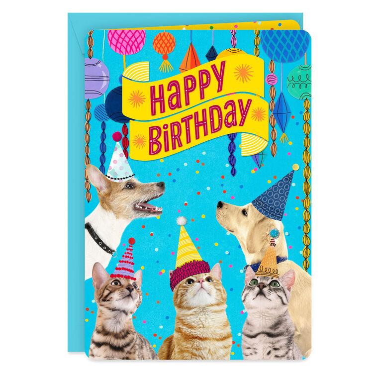 hallmark 16" Party Cats and Dogs Jumbo Birthday Card From All