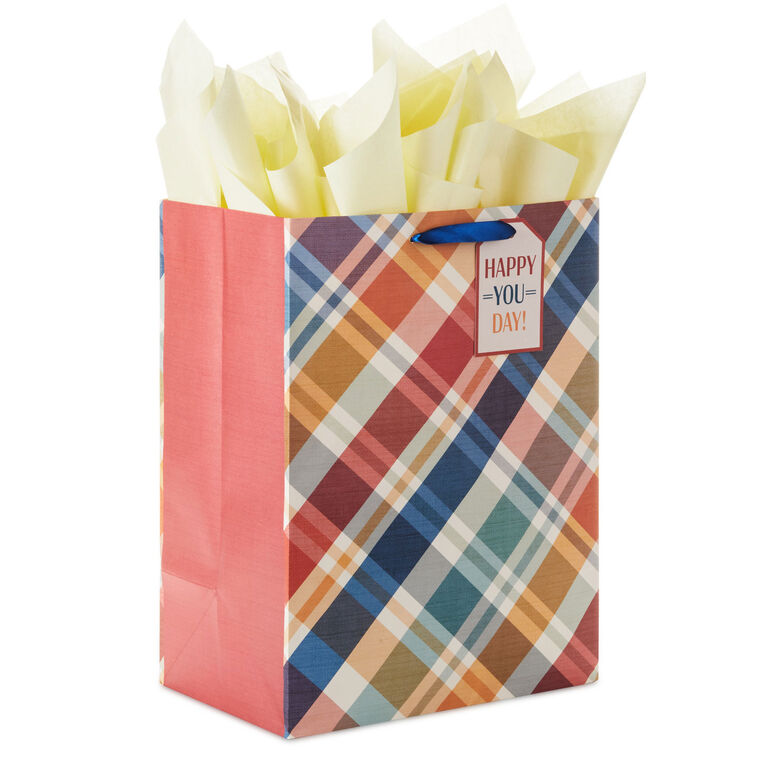 hallmark 17" Brown and Blue Plaid Extra-Deep Gift Bag With Tissue Paper