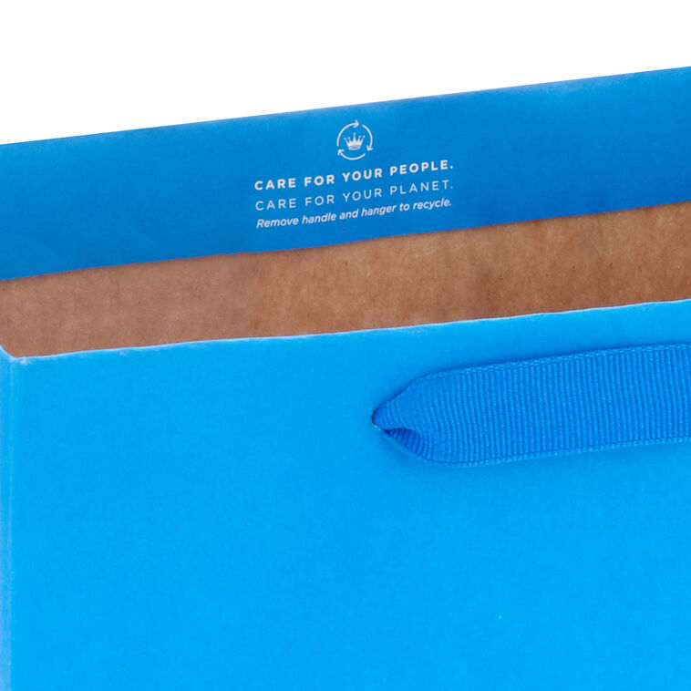 Hallmark 9.6" Assorted Solid Colors 4-Pack Medium Gift Bags