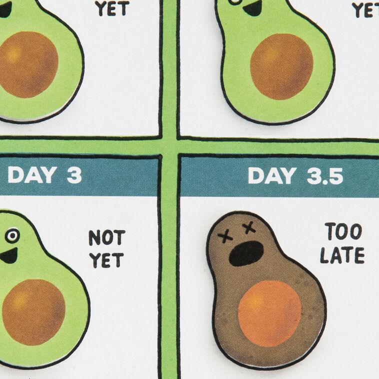 Hallmark A Brief Guide To Avocados Funny Birthday Card