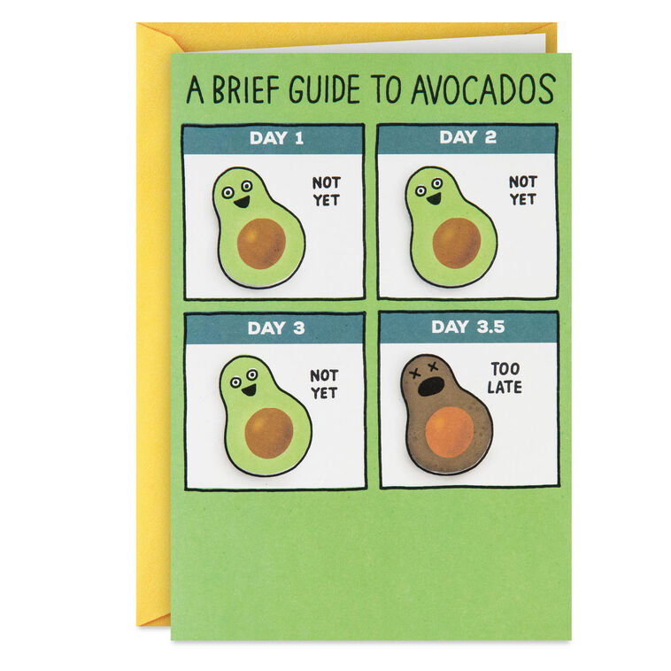 hallmark A Brief Guide to Avocados Funny Birthday Card