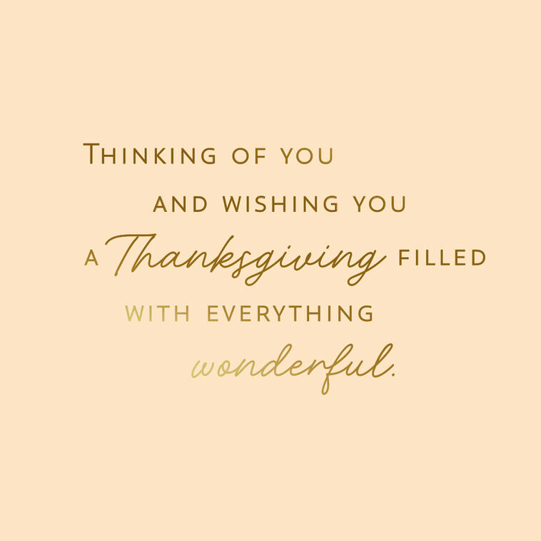 Hallmark A Day Filled With Everything Wonderful Thanksgiving Card
