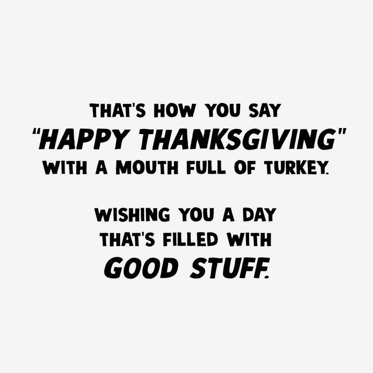 Hallmark A Day Filled With Good Stuff Funny Thanksgiving Card
