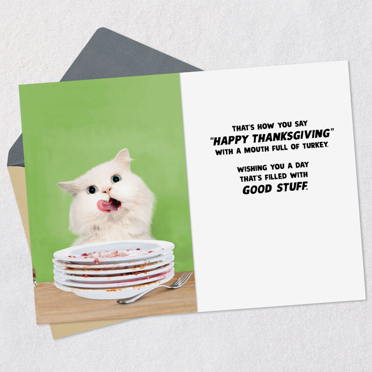 Hallmark A Day Filled With Good Stuff Funny Thanksgiving Card