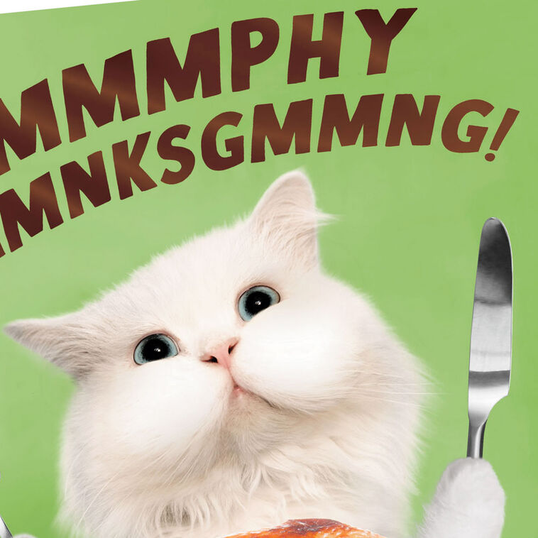 Hallmark A Day Filled With Good Stuff Funny Thanksgiving Card
