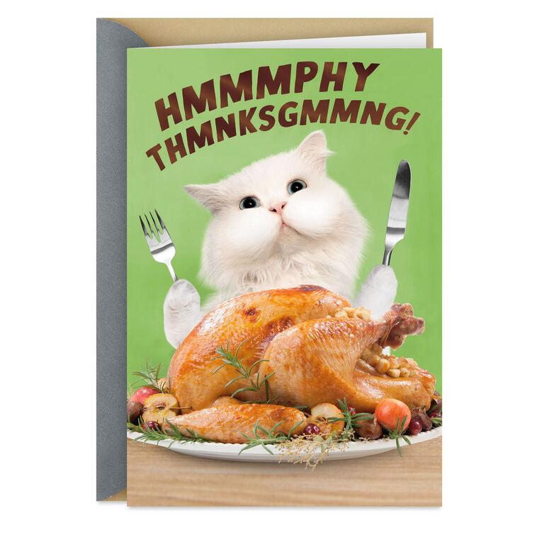 hallmark A Day Filled With Good Stuff Funny Thanksgiving Card