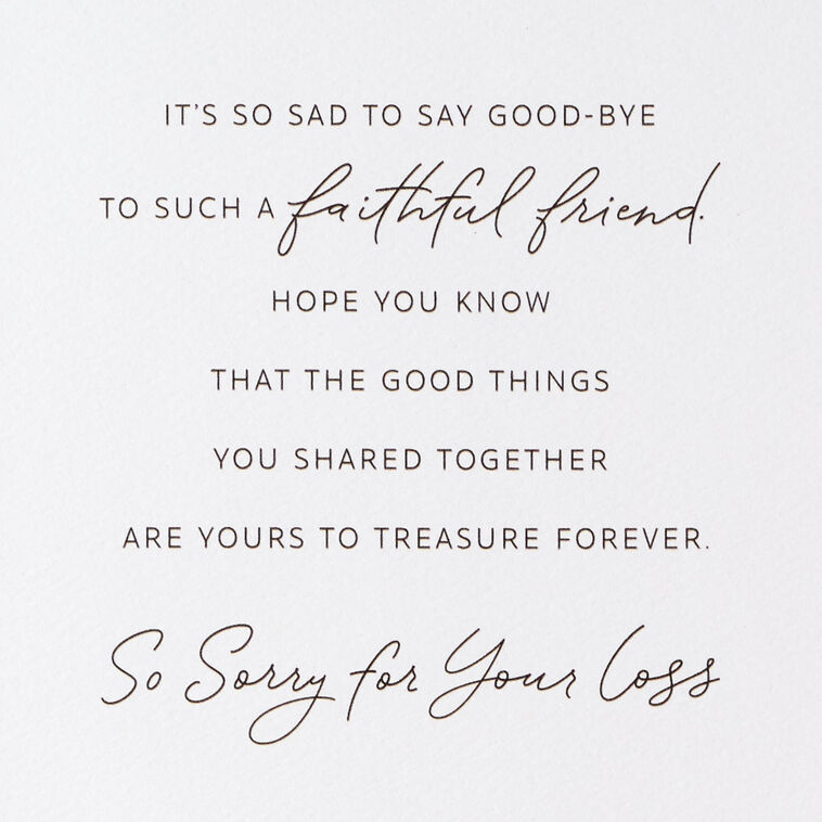 Hallmark A Faithful Friend To Treasure Sympathy Card For Loss Of Dog