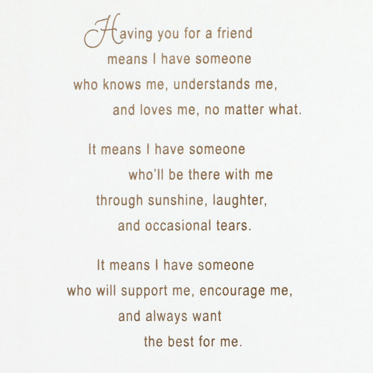 Hallmark A Friend Like You Means So Much Birthday Card For Friend