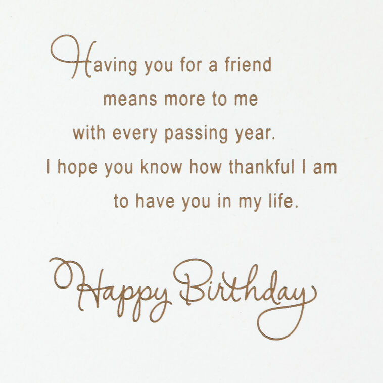 Hallmark A Friend Like You Means So Much Birthday Card For Friend
