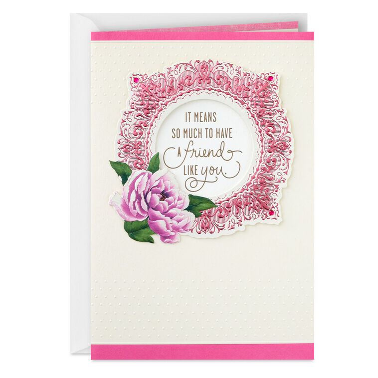 hallmark A Friend Like You Means So Much Birthday Card for Friend