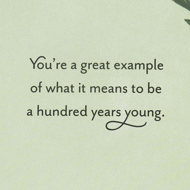 Hallmark A Great Example Of 100 Years Young 100th Birthday Card