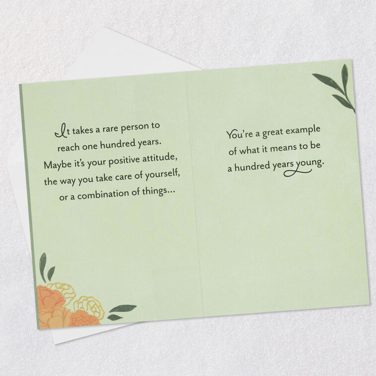 Hallmark A Great Example Of 100 Years Young 100th Birthday Card