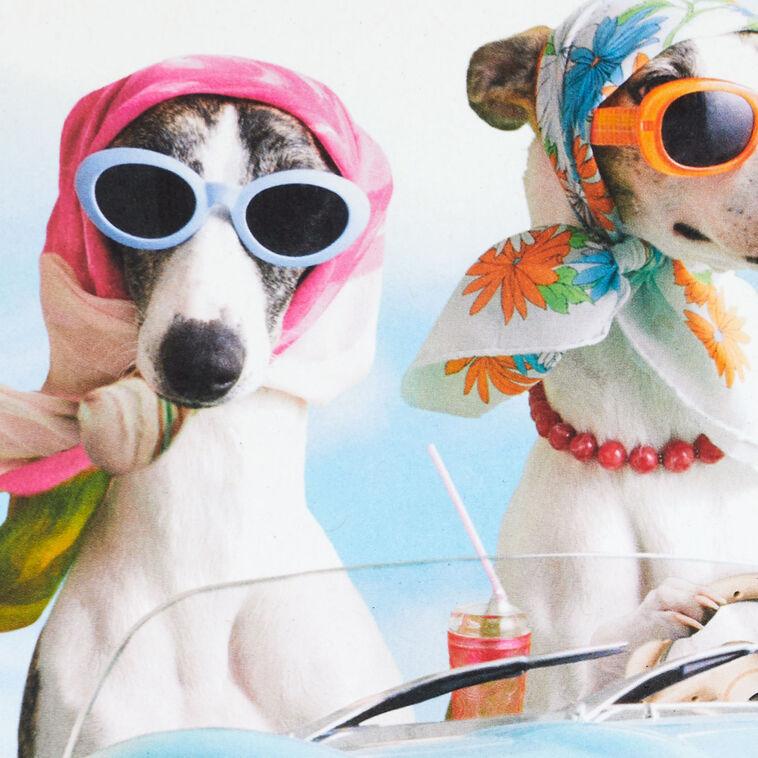 Hallmark A Sun-in-Your-Face Kind Of Day Funny Birthday Card