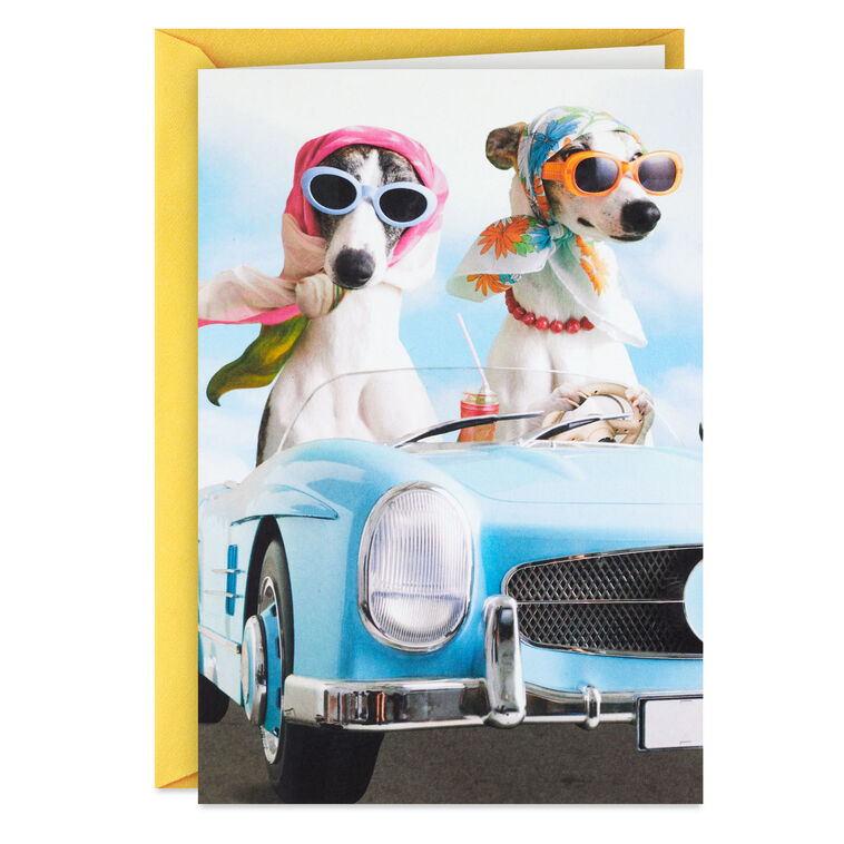 hallmark A Sun-in-Your-Face Kind of Day Funny Birthday Card