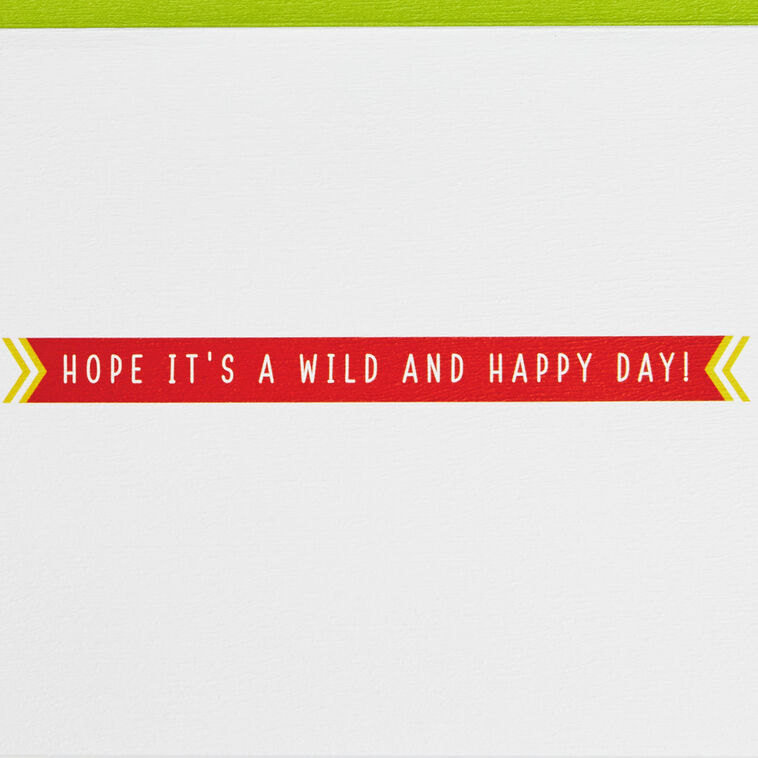 Hallmark A Wild And Happy Day Birthday Card For Kids With Finger Puppets