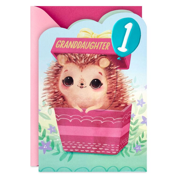 hallmark A Year of Dreams Come True First Birthday Card for Granddaughter