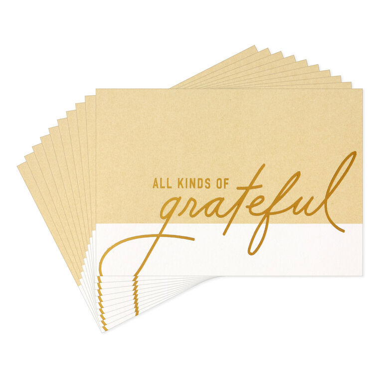Hallmark All Kinds Of Grateful Blank Thank You Notes Pack Of 10