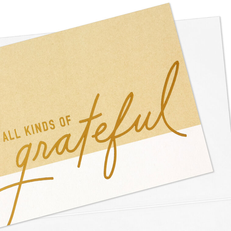 Hallmark All Kinds Of Grateful Blank Thank You Notes Pack Of 10