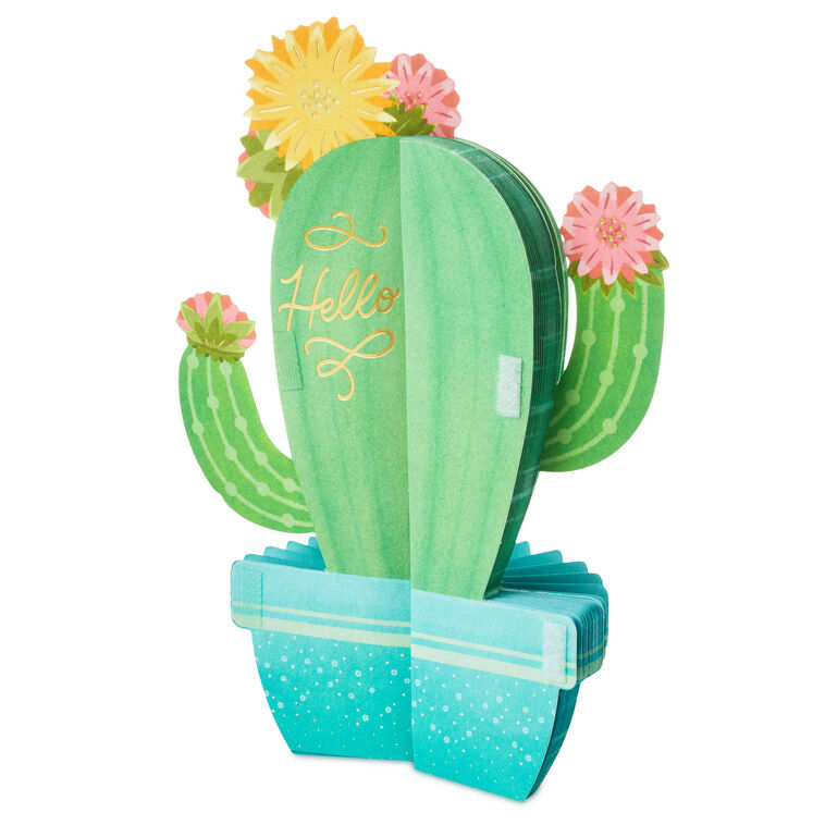Hallmark All Sun All Fun Flowering Cactus Honeycomb 3D Pop-Up Card