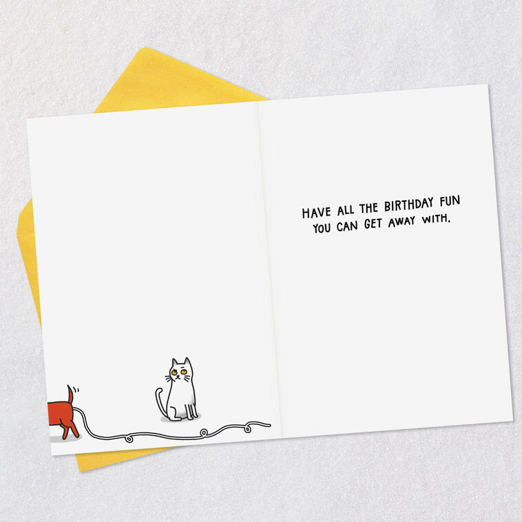 Hallmark All The Fun You Can Get Away With Funny Birthday Card