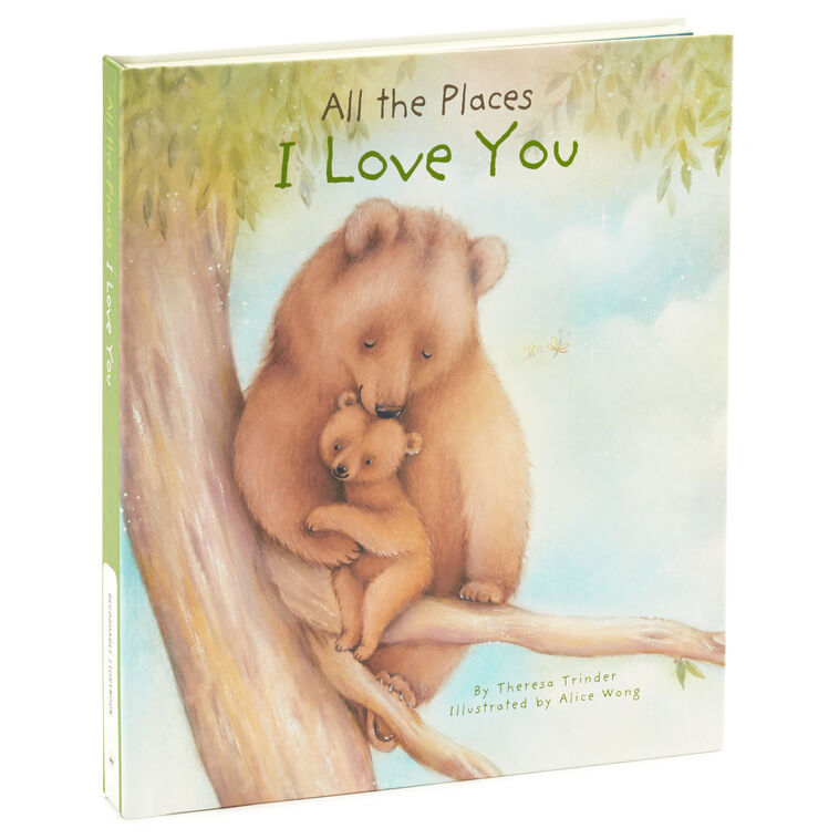hallmark All The Places I Love You Recordable Storybook With Music