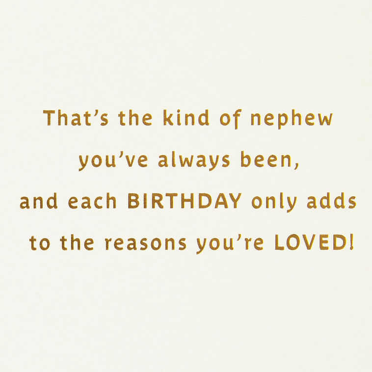 Hallmark All The Reasons You're Loved Birthday Card For Nephew