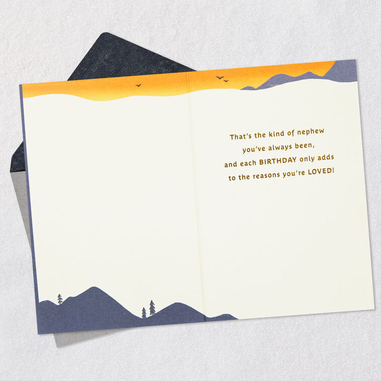 Hallmark All The Reasons You're Loved Birthday Card For Nephew