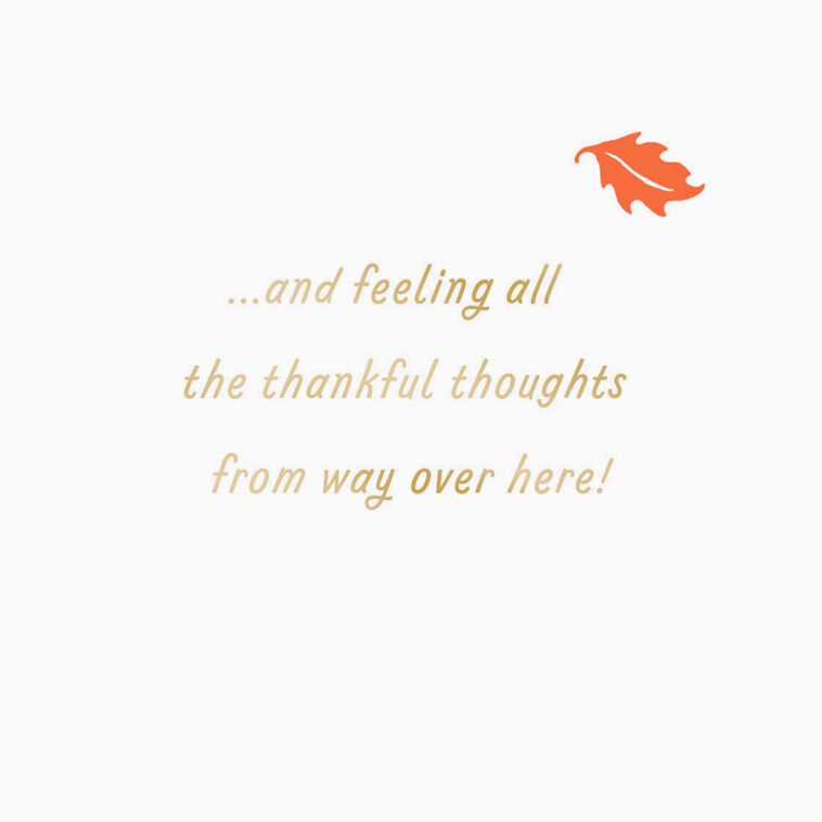 Hallmark All The Thankful Thoughts Across The Miles Thanksgiving Card