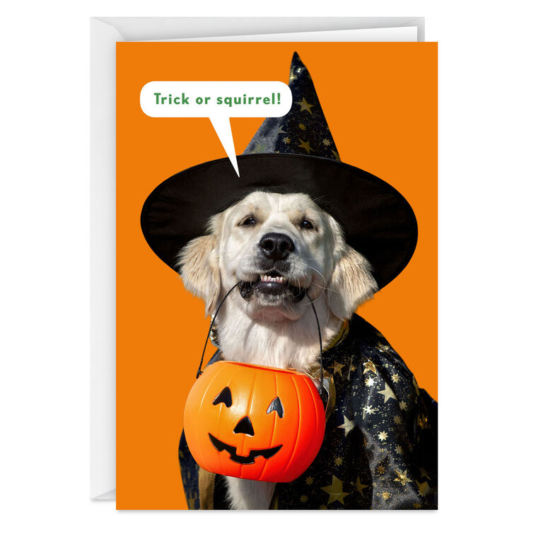 hallmark All Your Favorite Treats Funny Halloween Card