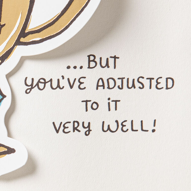 Hallmark Amazing Funny Pop-Up Birthday Card For Brother From Sister