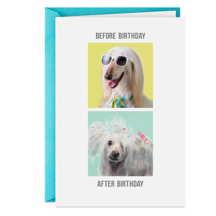 hallmark An Extra Day to Recover Funny Birthday Card