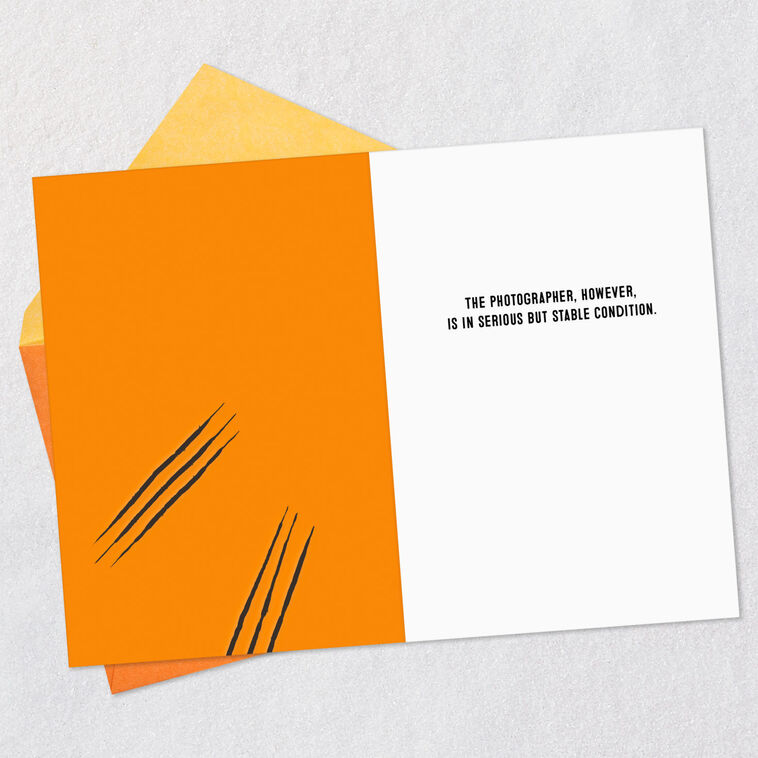 Hallmark Angry Black Cat In Witch's Hat Funny Halloween Card