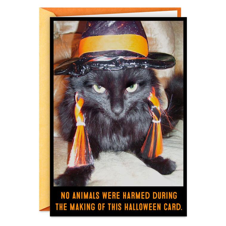 hallmark Angry Black Cat in Witch's Hat Funny Halloween Card