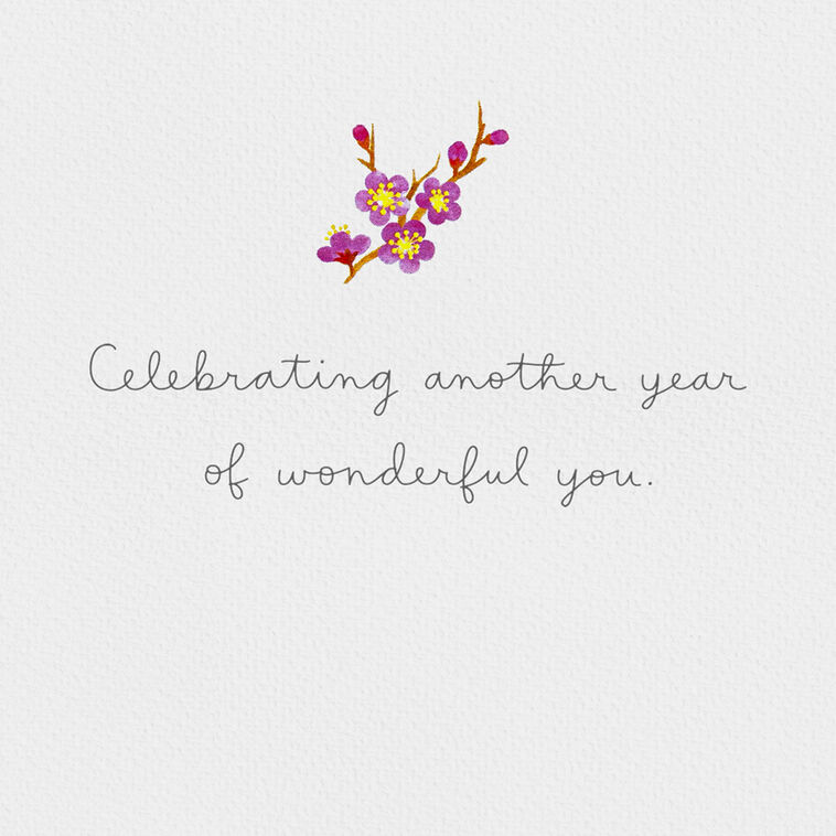 Hallmark Another Year Of Wonderful You Birthday Card