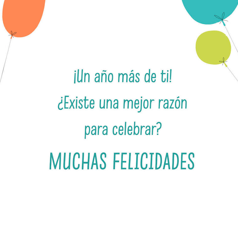 Hallmark Another Year Of Wonderful You Spanish-Language Birthday Card