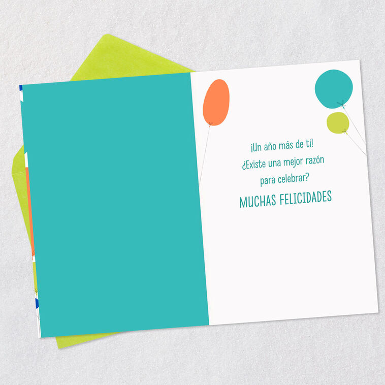 Hallmark Another Year Of Wonderful You Spanish-Language Birthday Card