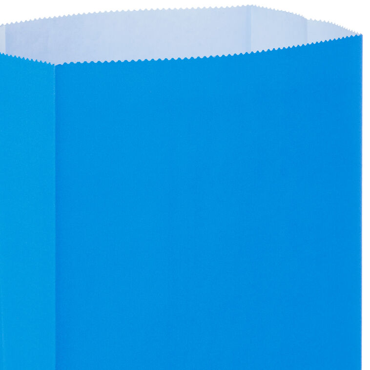 Hallmark Assorted Colors Paper Goodie Bags Pack Of 30