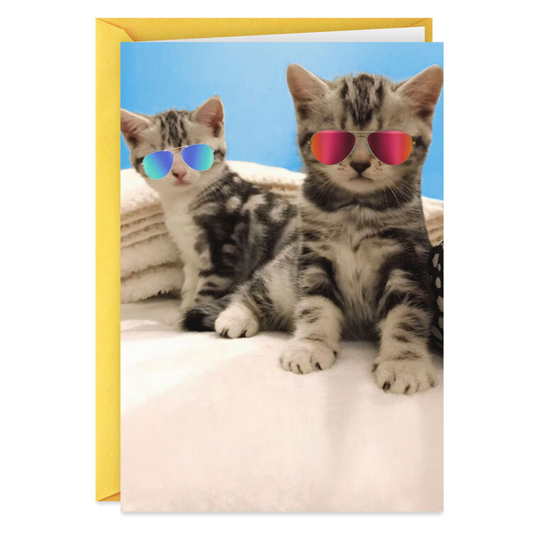 hallmark Awesome Cats in Reflective Sunglasses Funny Friendship Card