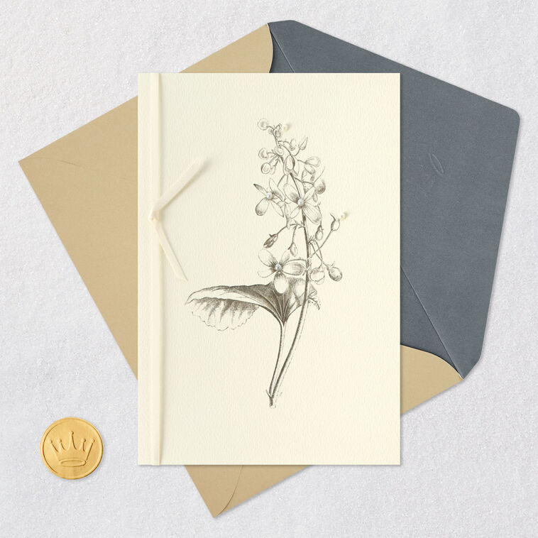Hallmark Black-and-White Botanical Drawing Blank Card